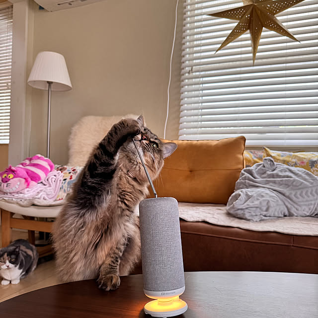 nekozo328さんの実例写真