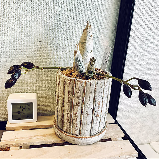 nsさんの実例写真