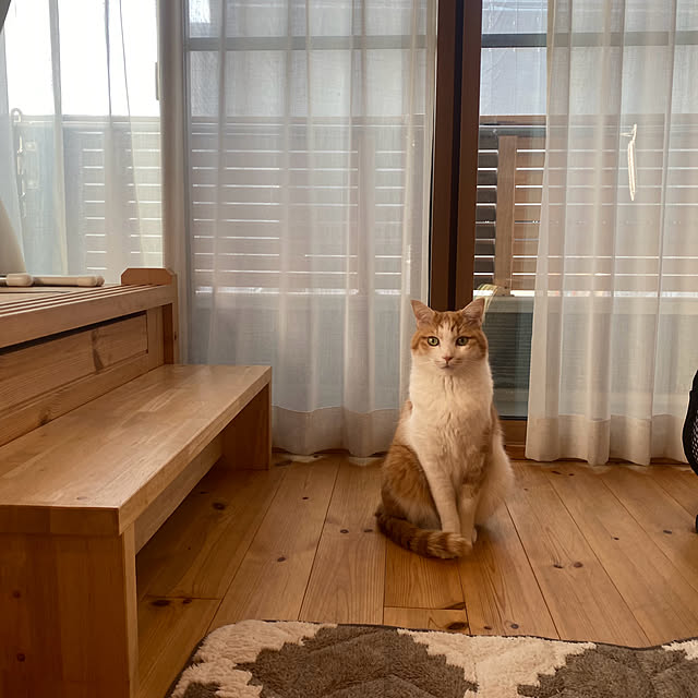 senbei.sakuramochiさんの実例写真