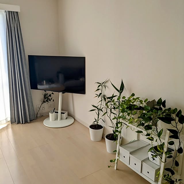 部屋全体/wall a2/IKEA/無印良品/ホワイトインテリア...などのインテリア実例 - 2024-09-06 15:42:26