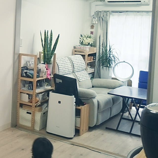 ニトリ/ダイソー/セリア/観葉植物/IKEA...などのインテリア実例 - 2017-07-27 15:04:02