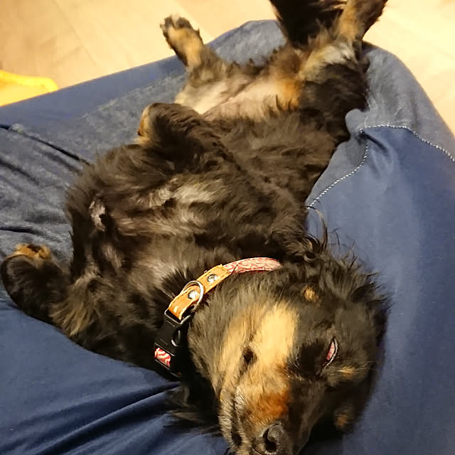 tomopiさんの実例写真