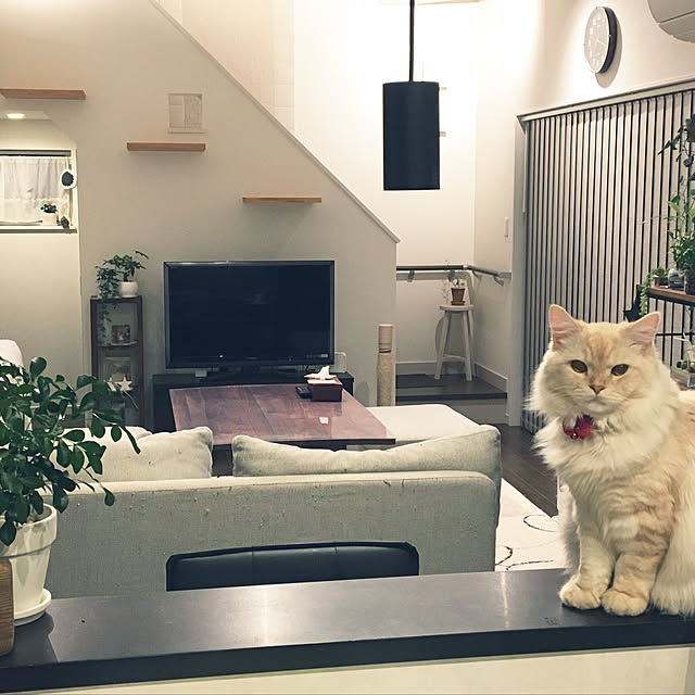 takiさんの実例写真