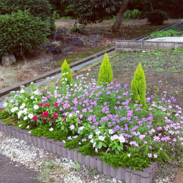 yoikoさんの実例写真
