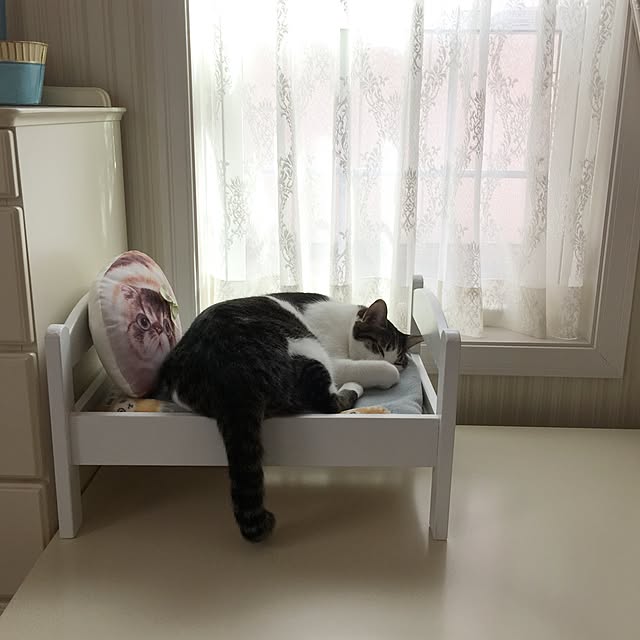 yuchiさんの実例写真