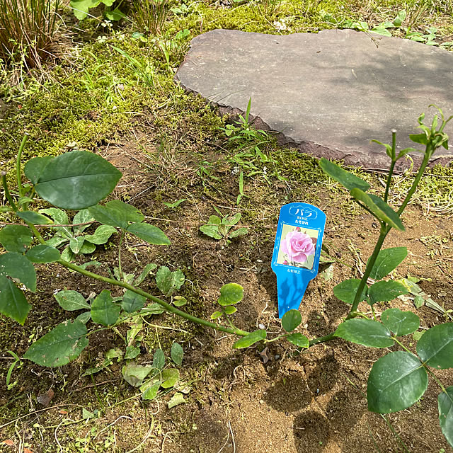 kakoさんの部屋
