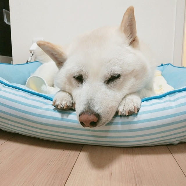 yukinkoさんの実例写真