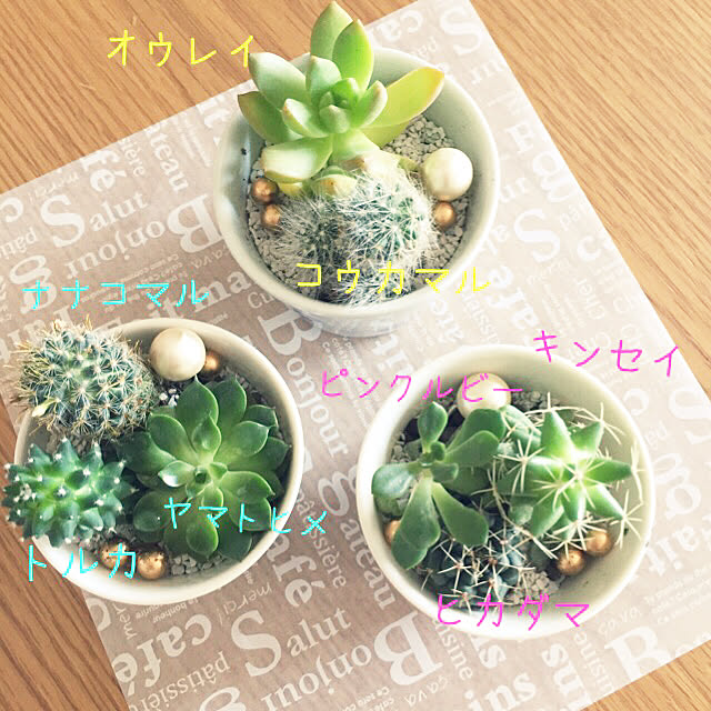 Minteaさんの実例写真