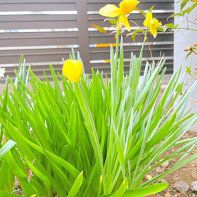 eriharuさんの部屋