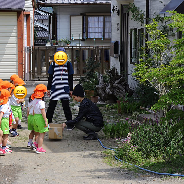 pepeさんの実例写真
