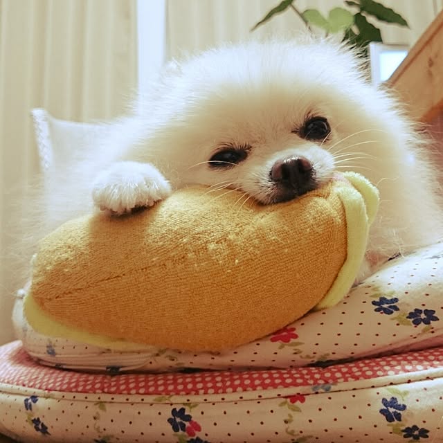 yukaさんの実例写真