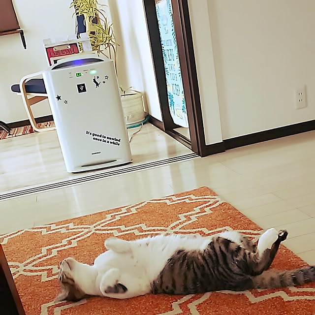 実例写真