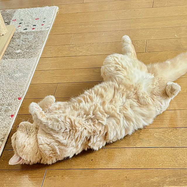 naokoさんの部屋