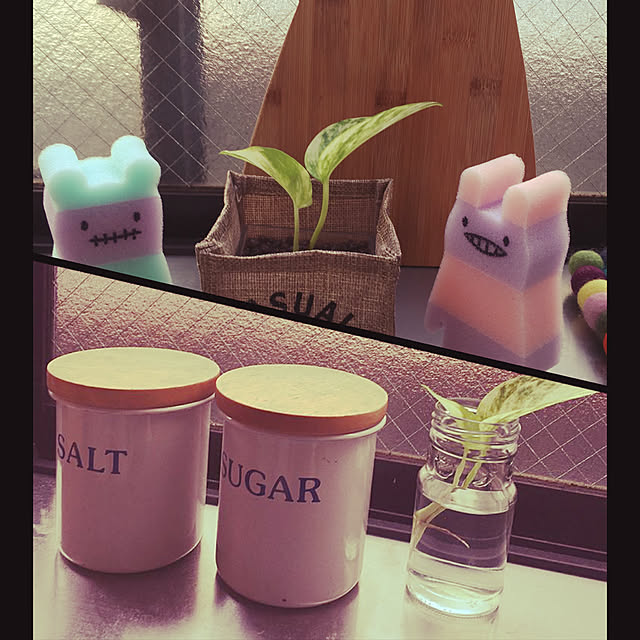 cocoさんの実例写真