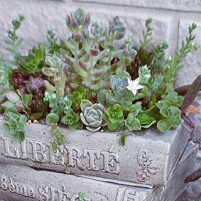 mocomocoさんの部屋