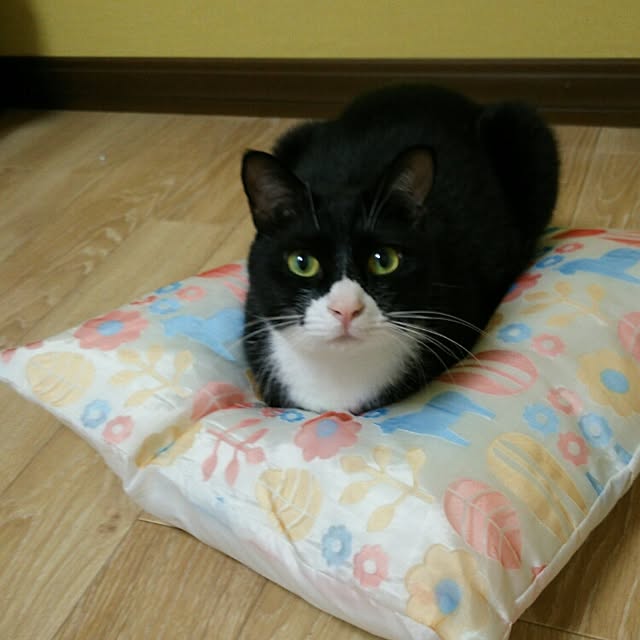 mzk5678910さんの実例写真