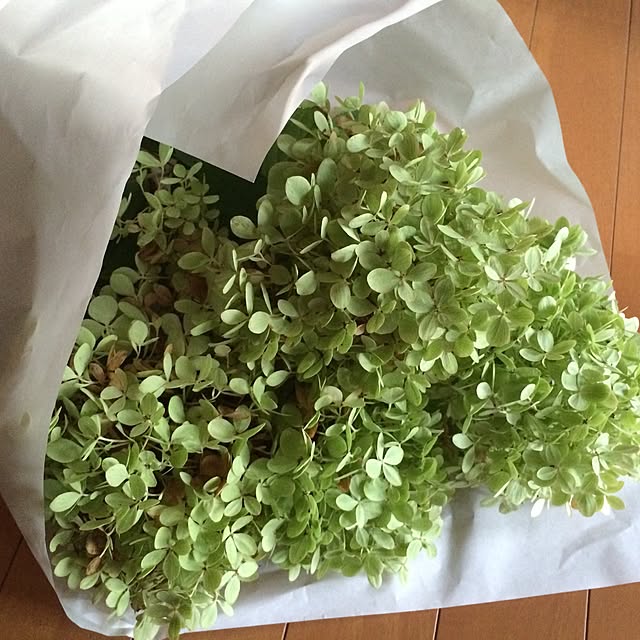 Yukiさんの実例写真
