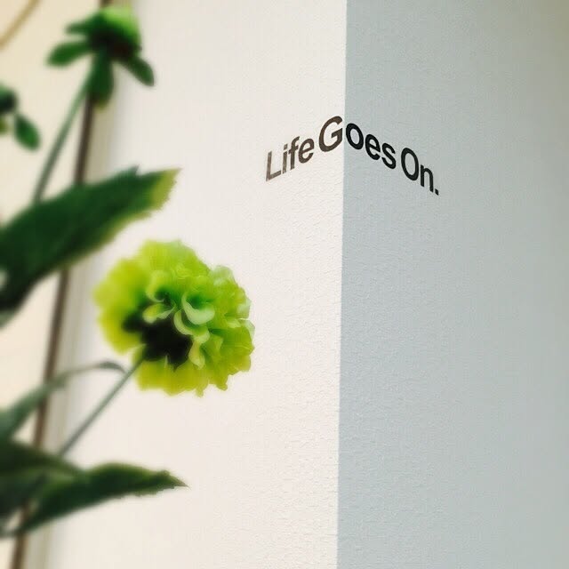 kazuya.designさんの実例写真