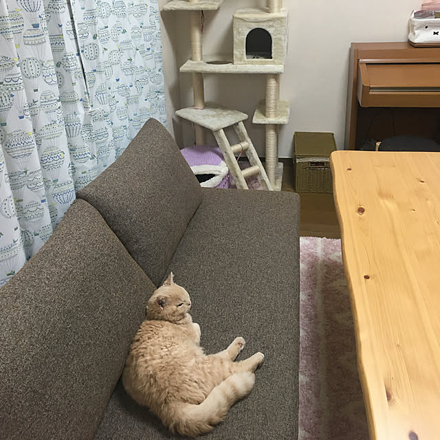 naokoさんの実例写真