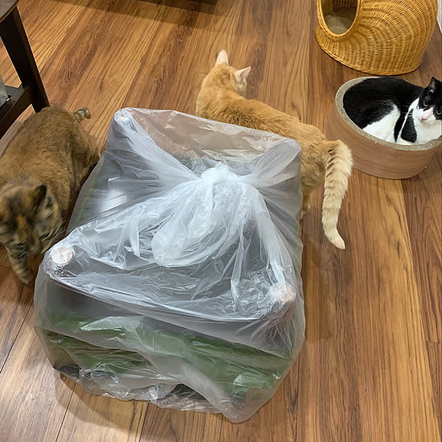 mikeume7さんの実例写真