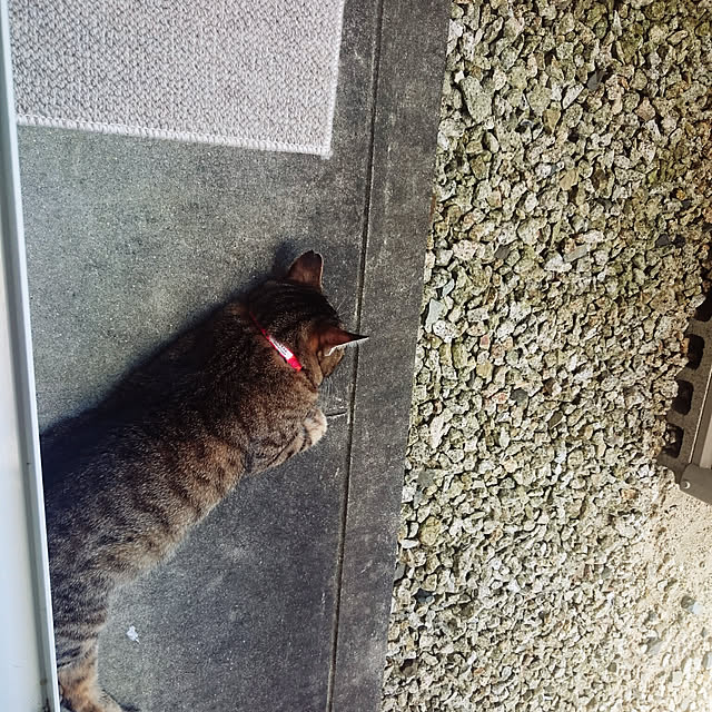 lilyさんの実例写真