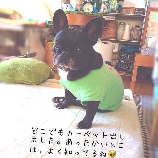 38coreさんの実例写真