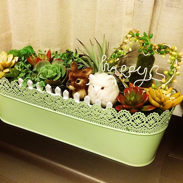 piichanbunchanさんの実例写真