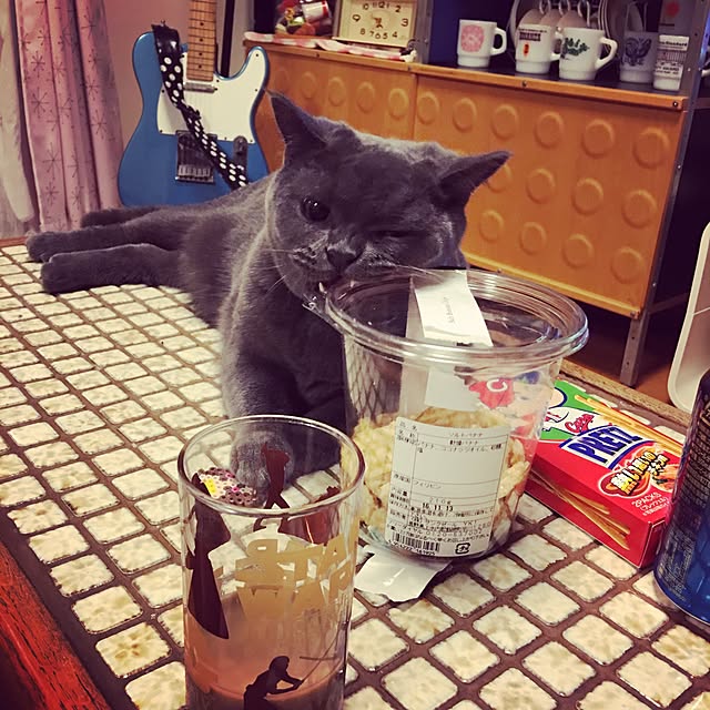 Shojiさんの実例写真