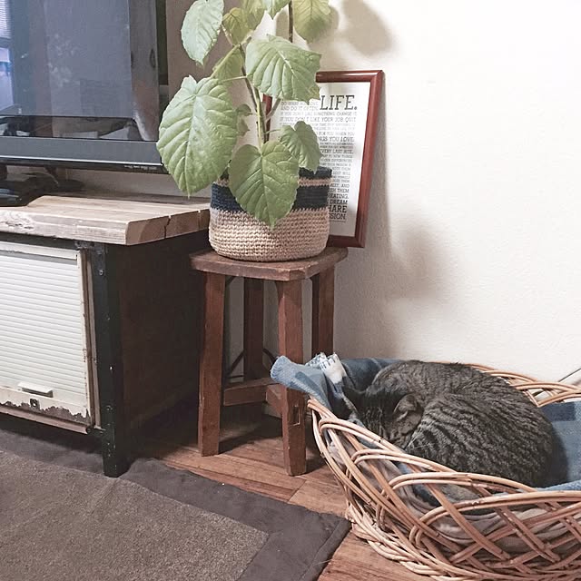 chocoさんの実例写真