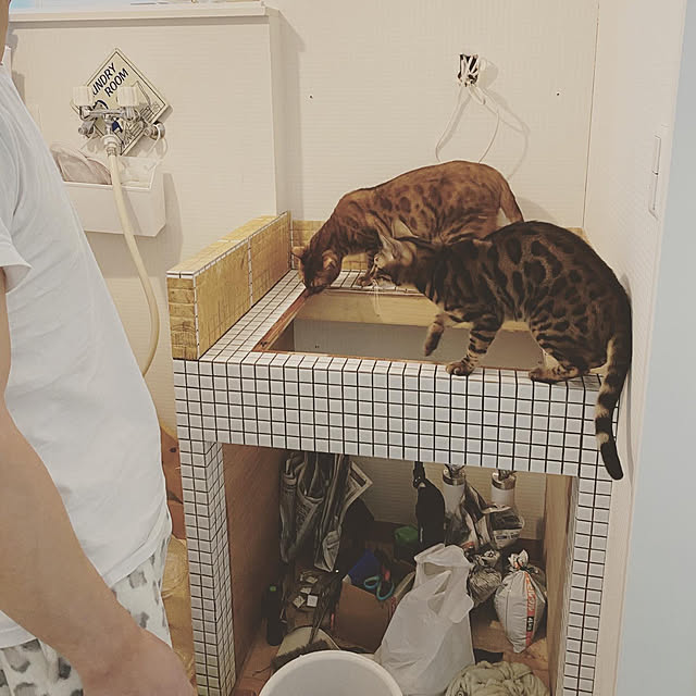 jamさんの実例写真