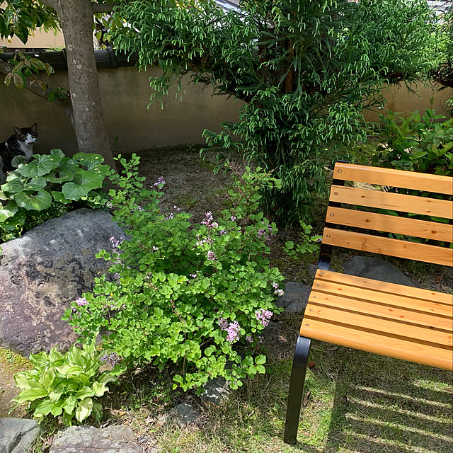 Azukiさんの実例写真