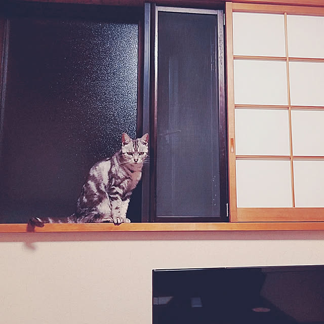 sayuさんの実例写真
