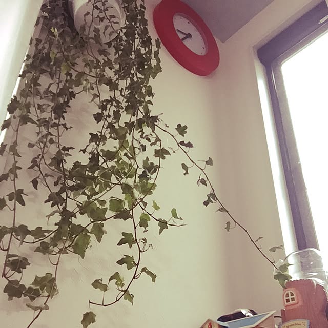 megumiさんの実例写真