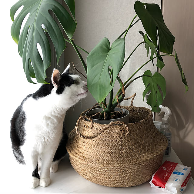 k.Iさんの実例写真