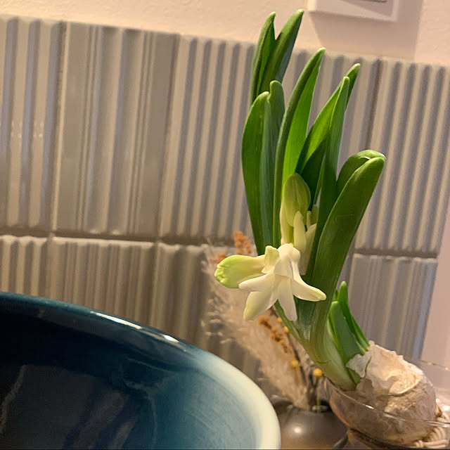 h_home.hさんの実例写真