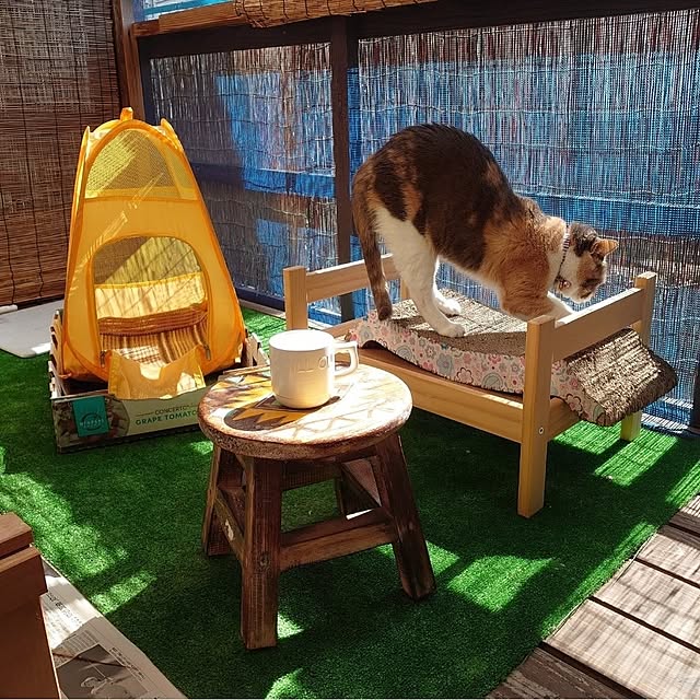 fukuさんの実例写真