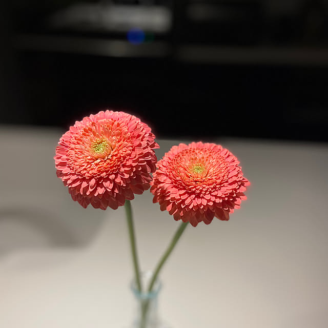 kahomeさんの部屋