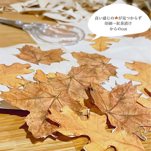 lalaoinkさんの部屋