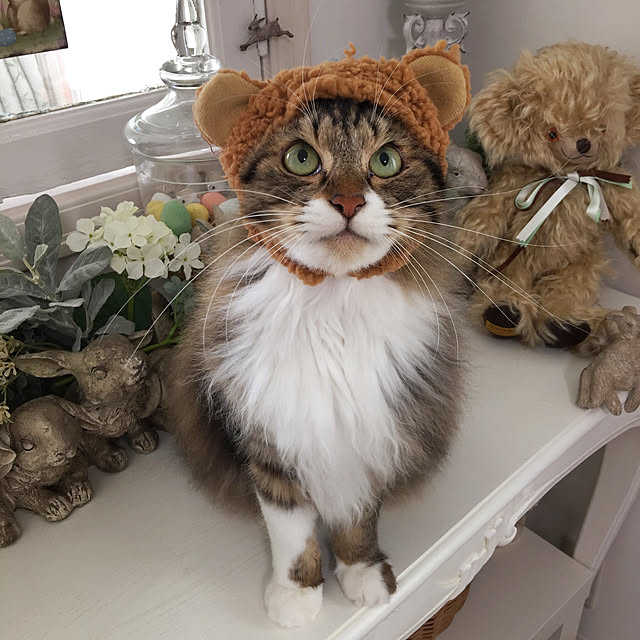 yuchiさんの実例写真