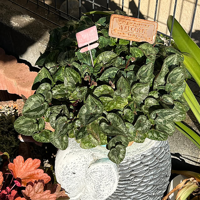 nannoさんの実例写真