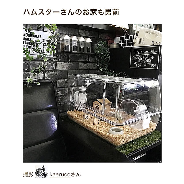 kaerucoさんの実例写真