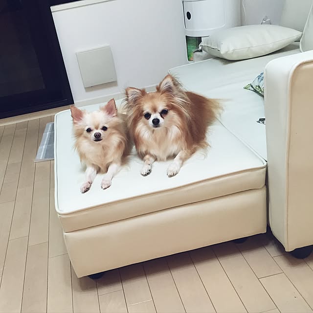 nappu_uさんの実例写真