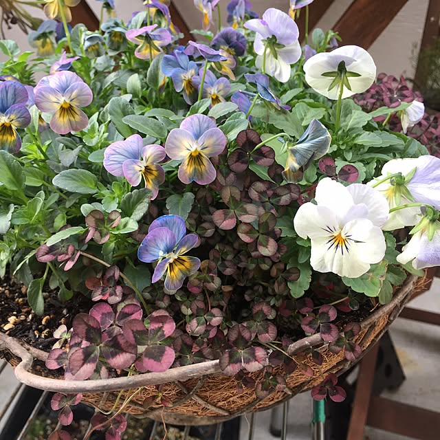 cocco0505さんの実例写真