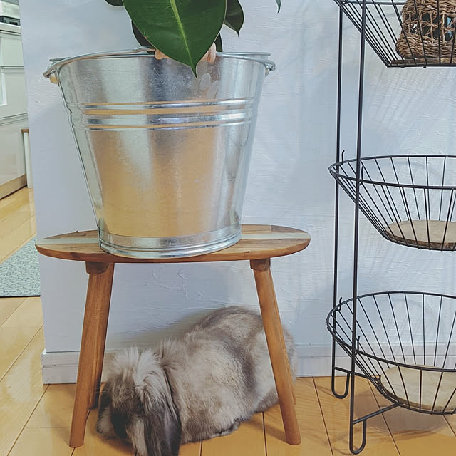 manaさんの実例写真