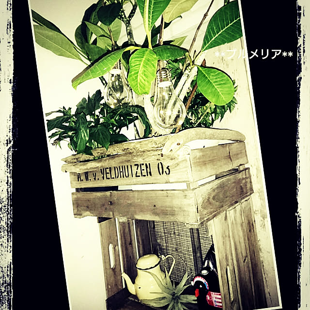 kajyuさんの実例写真