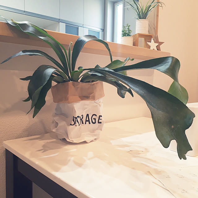 m.coccoさんの実例写真