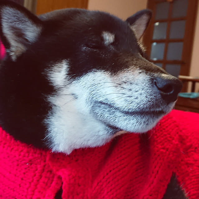 tsutawarimasuさんの実例写真