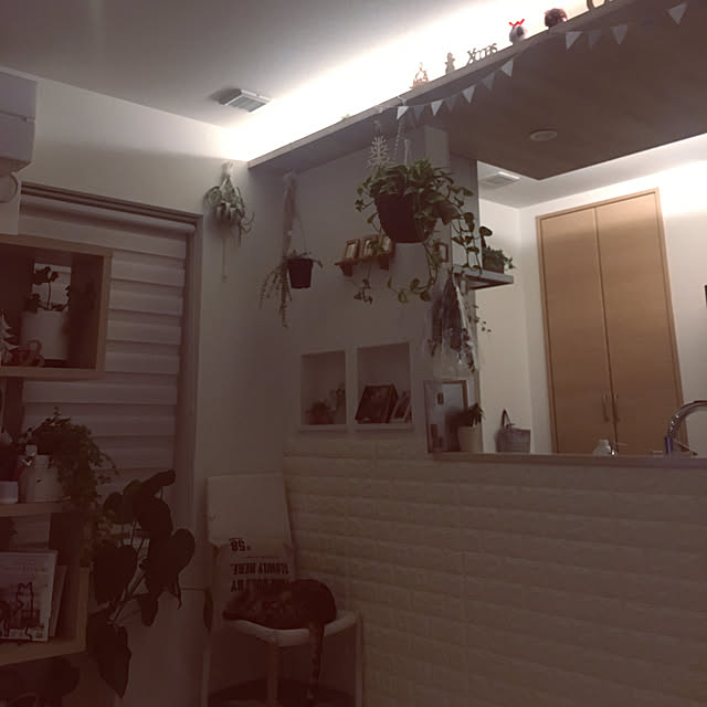 megu.catさんの実例写真
