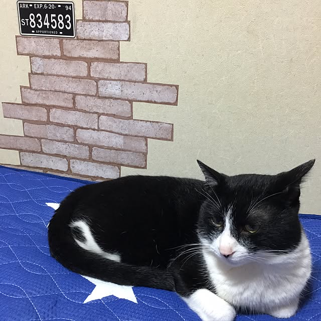 tamaさんの実例写真