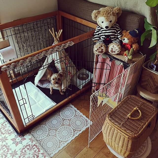 akiさんの実例写真